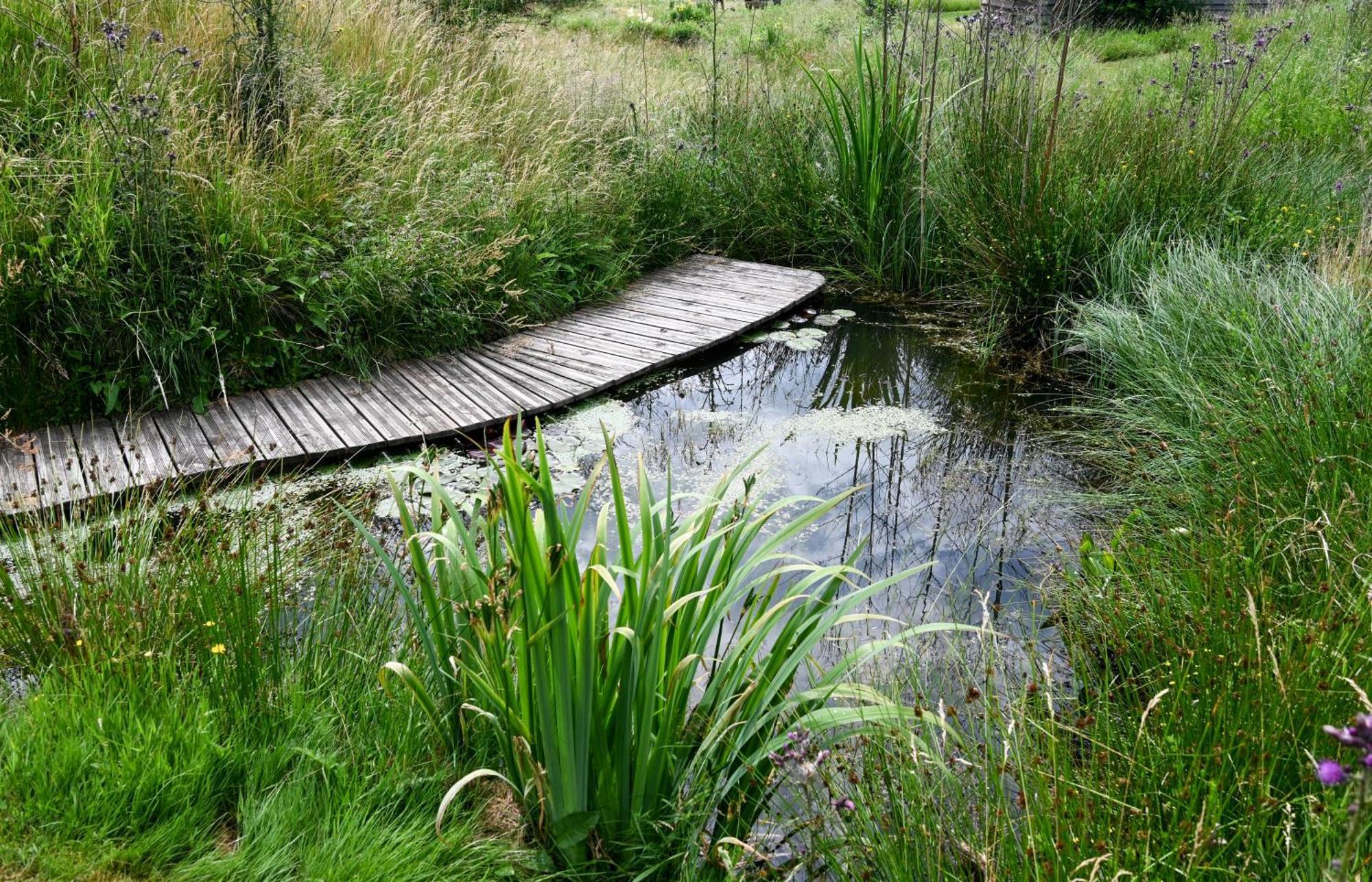 巴特拉瑟菲Haus Sohl Am Rothaarsteig公寓 外观 照片